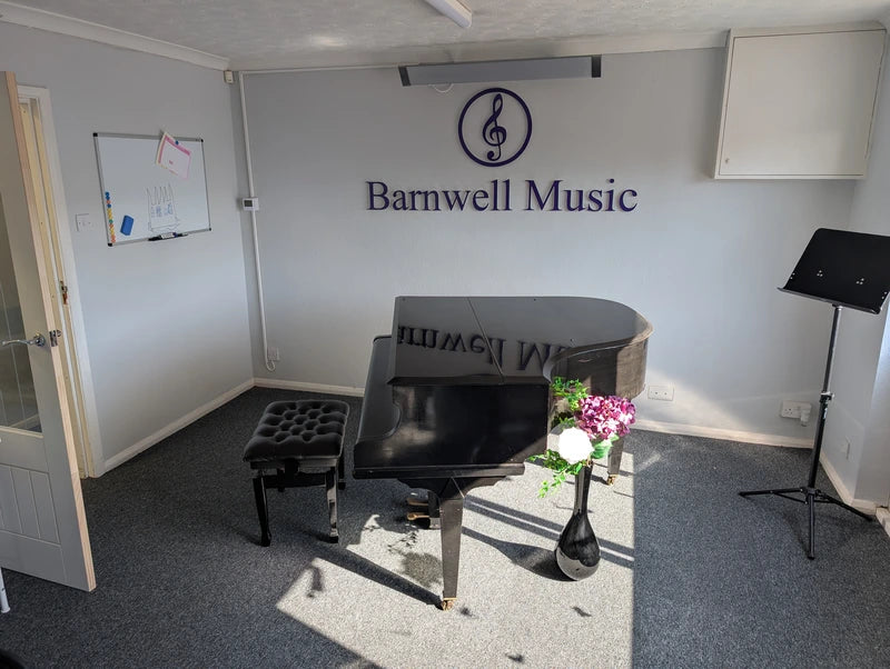 Rose-Pro Far Infrared Ceiling & Wall Heating Panel – Slim, High-Efficiency Metal Heater - Black (500W–4000W)