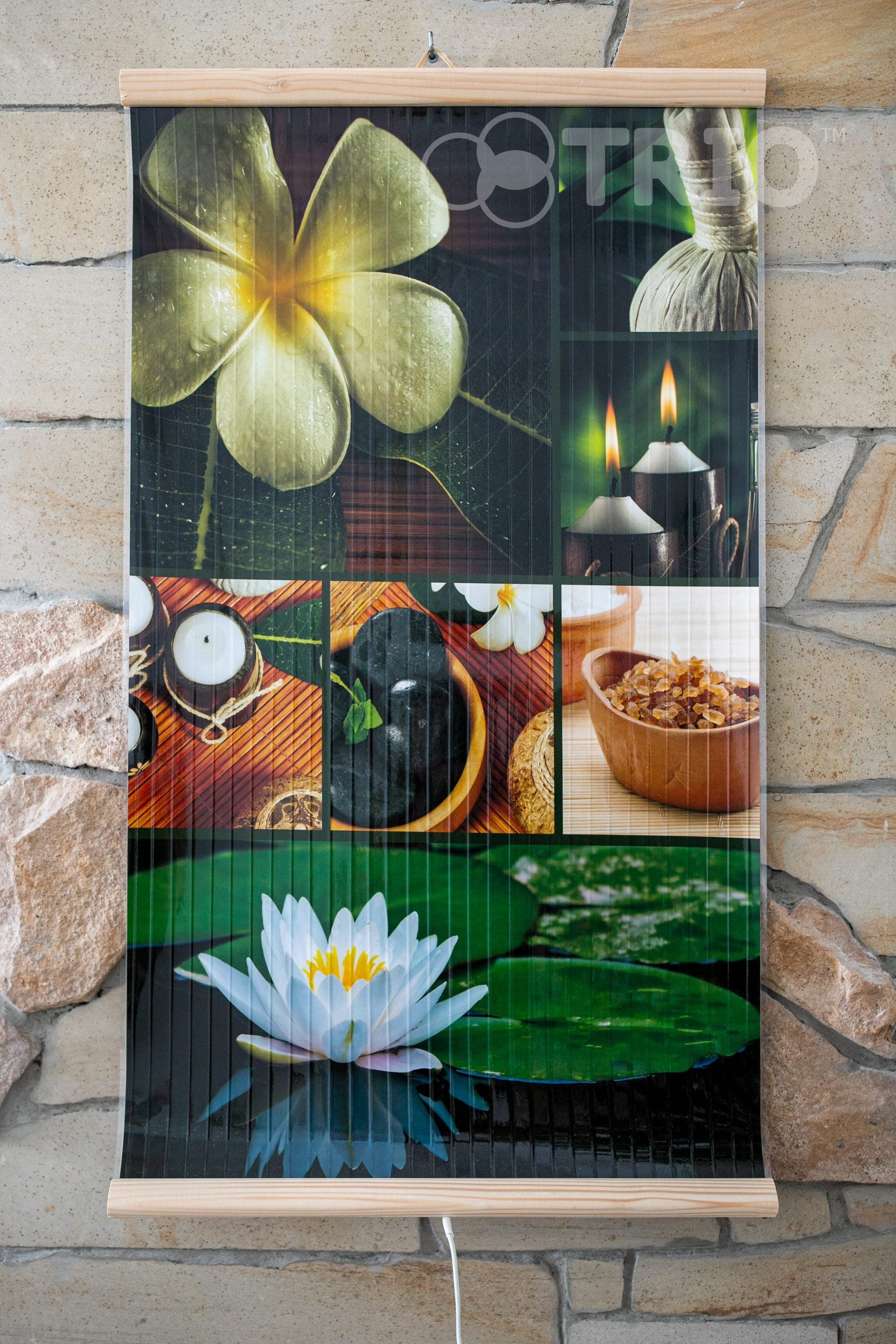 Infrared Wall mounted  Picture Heater. Far Infrared Heating Panel 420W "Lotus"